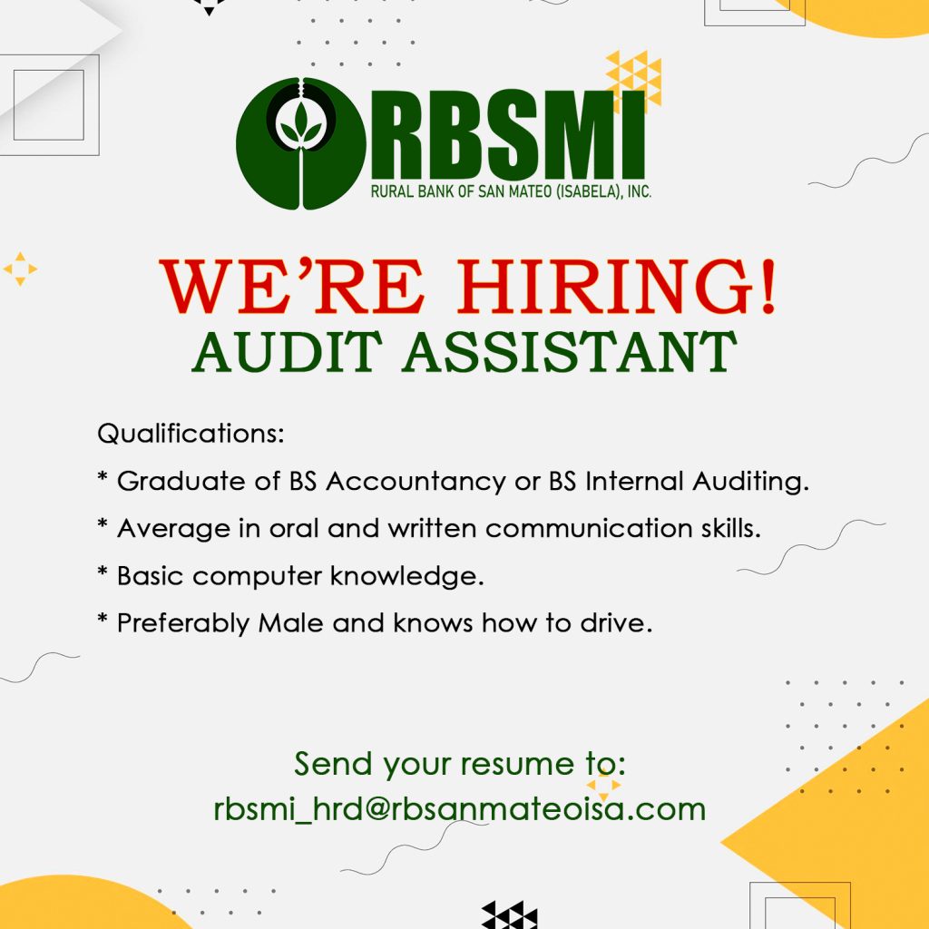 Audit Assistant